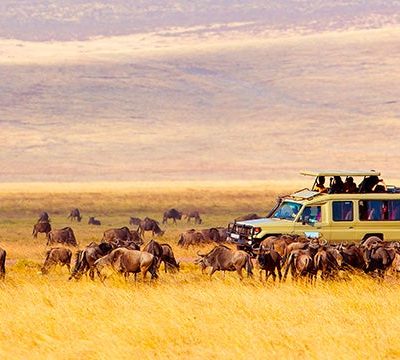 safaris en Africa - coche rodeado de búfalos