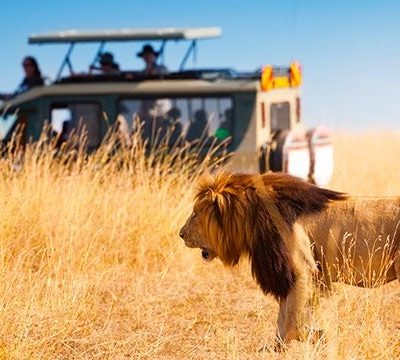 Consejos a tener en cuenta si vas a realizar un safari africano