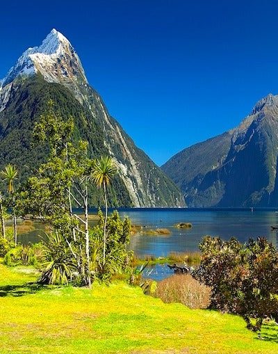 cine en Nueva Zelanda