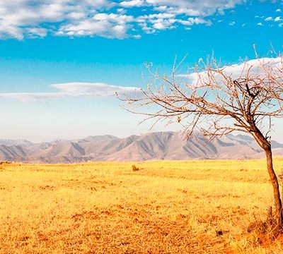 Los parques naturales de África más impresionantes