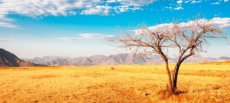 Los parques naturales de África más impresionantes