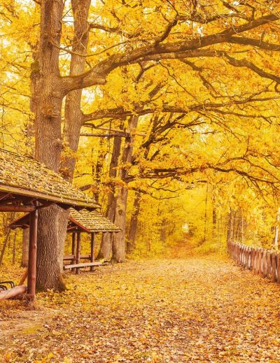 4 Reisen im Herbst, um das beste Halloween zu erleben