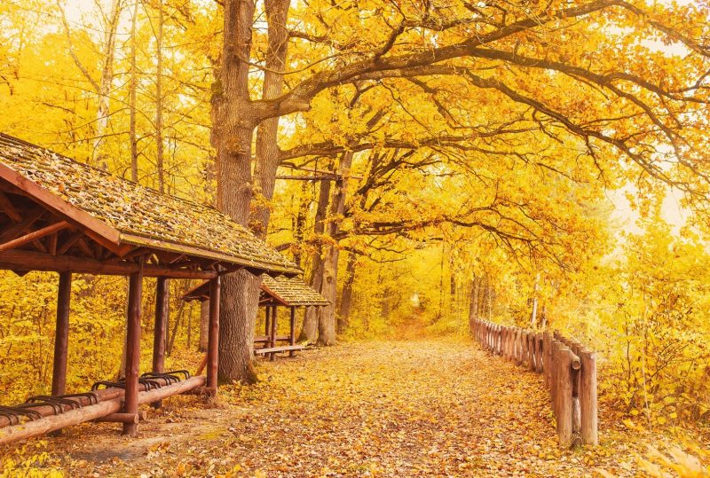 4 Reisen im Herbst, um das beste Halloween zu erleben