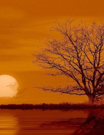 les plus beaux couchers de soleil