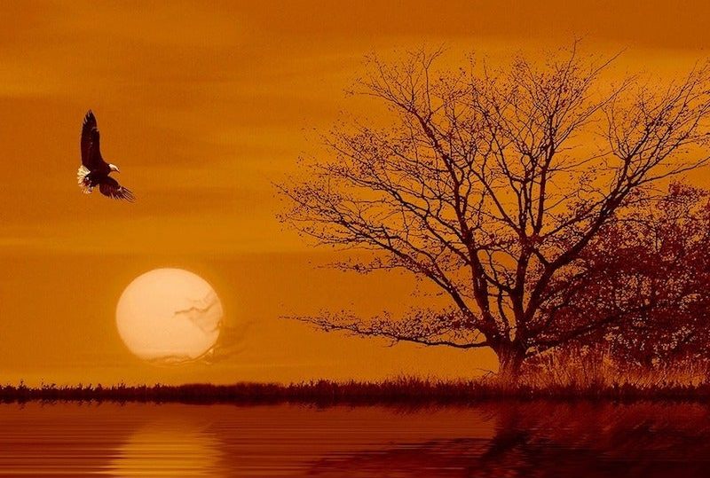 les plus beaux couchers de soleil