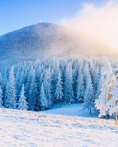 Top 8 winter trips What to do during the winter