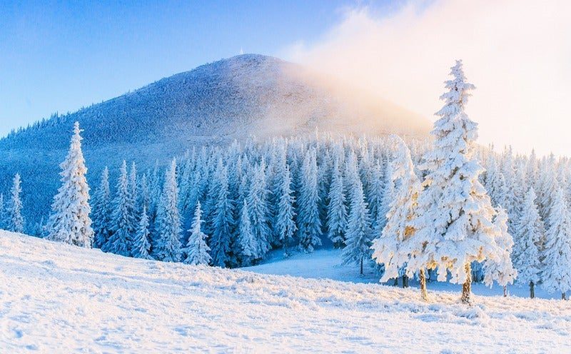 Top 8 winter trips What to do during the winter
