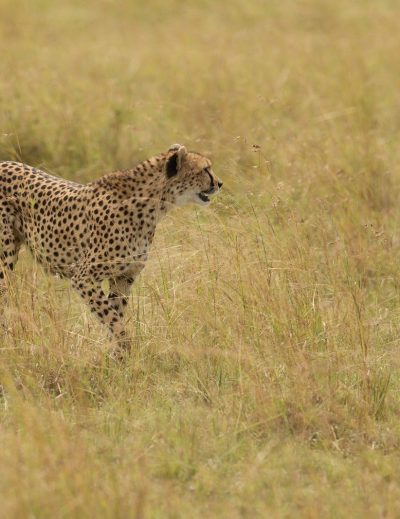 viajes fotográficos