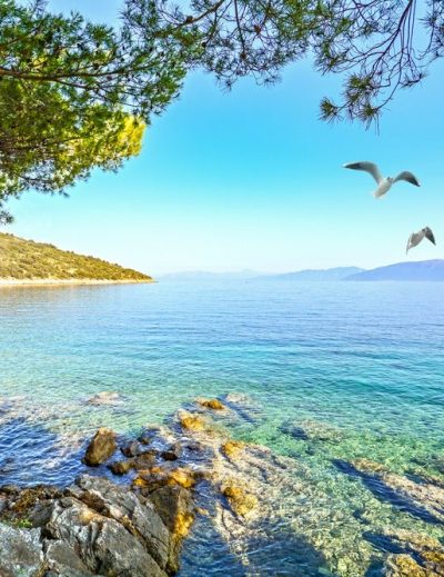 meilleures destinations pour 2020