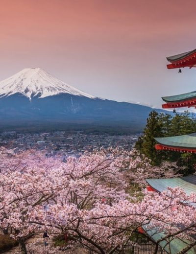 Jeux Olympiques 2020