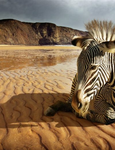 afrikanischen Inselparadiese