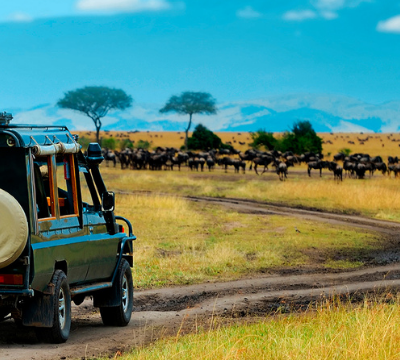 Best African safaris and wildlife tourss