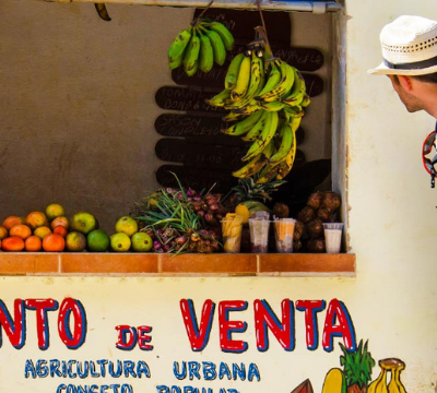 best vegetarian and vegan destinations
