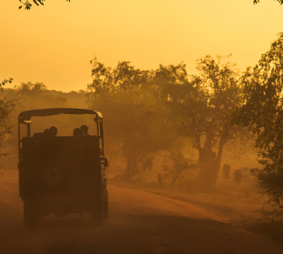 Animals in Sri Lanka; wildlife safaris