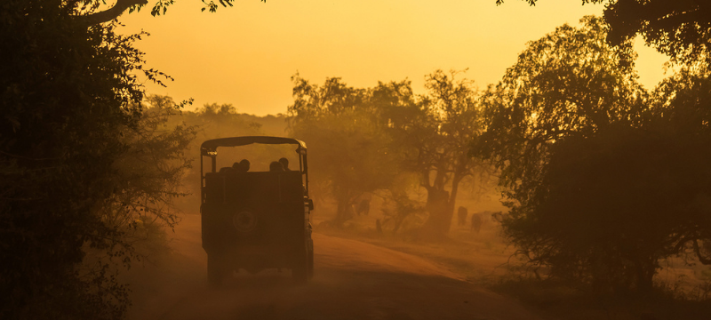 Animals in Sri Lanka; wildlife safaris