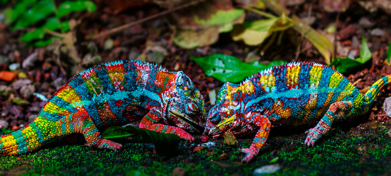 Exotic holiday destinations