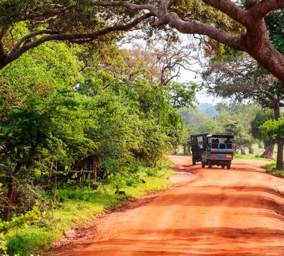 6 unmissable national parks in Asia