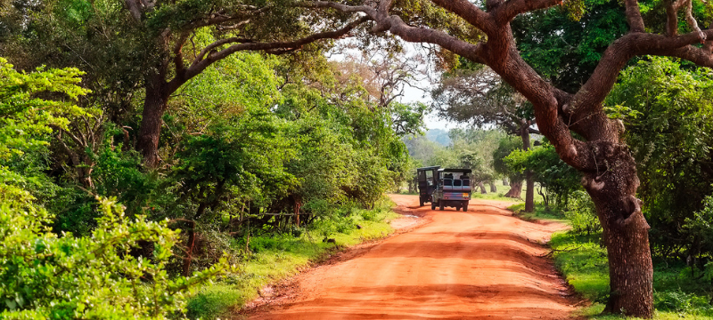 6 unmissable national parks in Asia