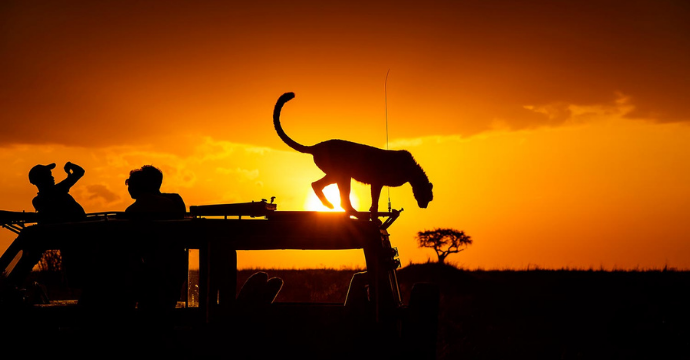 South Africa - best African safaris