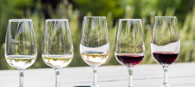 Best wine destinations in the world