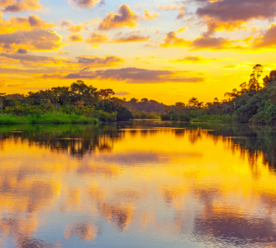Tours of the Amazon Rainforest