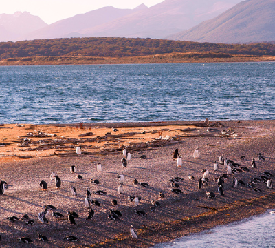 Best national parks in South America