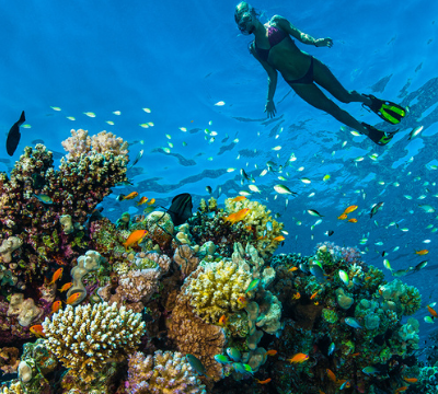 Coral reefs around the world