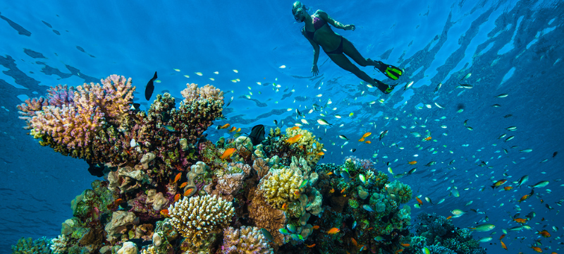 Coral reefs around the world