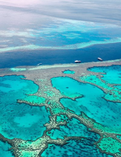 great barrier reef