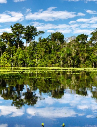 marañon river in pacaya samiria