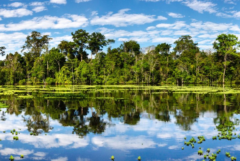 marañon river in pacaya samiria