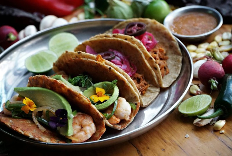Healthy Gourmet Food Authentic Mexican Tacos with Shrimp Avocado and Pulled Pork