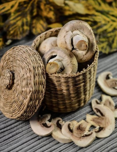 mushrooms, food, dish, vegetarian, healthy, champignon, organic, mushroom, delicious, meal, fresh, rustic, nutrition, natural, fresh food, wicker