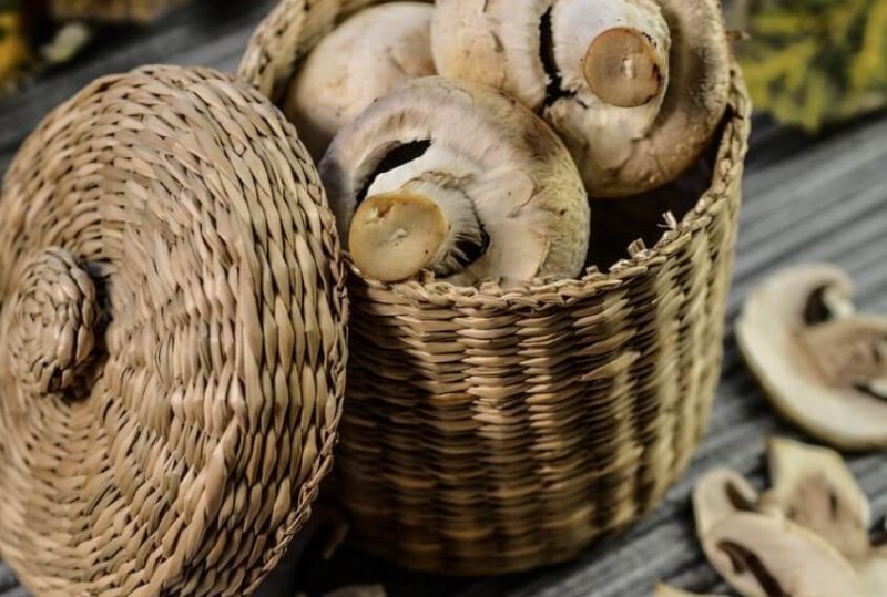 mushrooms, food, dish, vegetarian, healthy, champignon, organic, mushroom, delicious, meal, fresh, rustic, nutrition, natural, fresh food, wicker