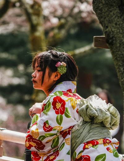 Maiko in beautiful kimono performing traditional Gion Odori in Kyoto
