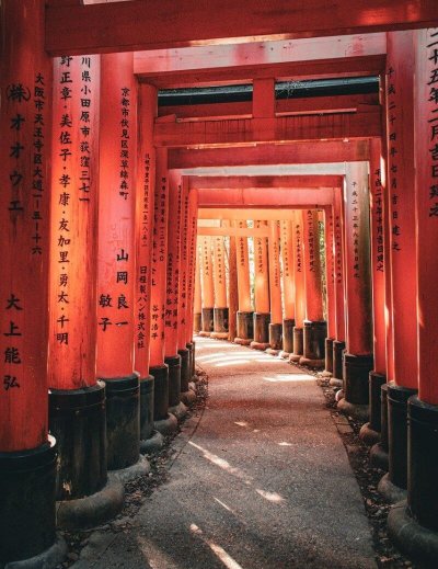 shrine, torii, japan, fushimi, nature, temple, kyoto, fushimi inari, japanese, culture, asia, architecture, traditional, famous, landmark, sightseeing, fushimi-inari shrine, historical, tourism