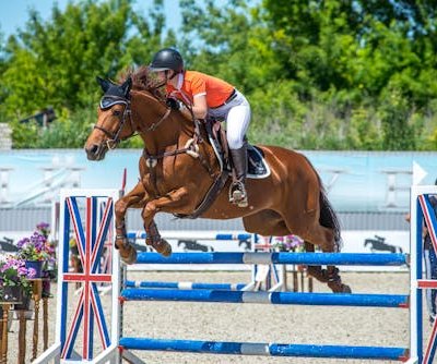 Show jumping horse and rider clearing hurdle at equestrian event