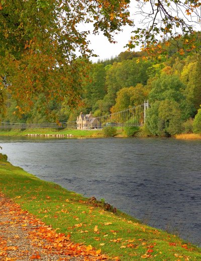 Autumn leaves in Scotland over the River Sprey